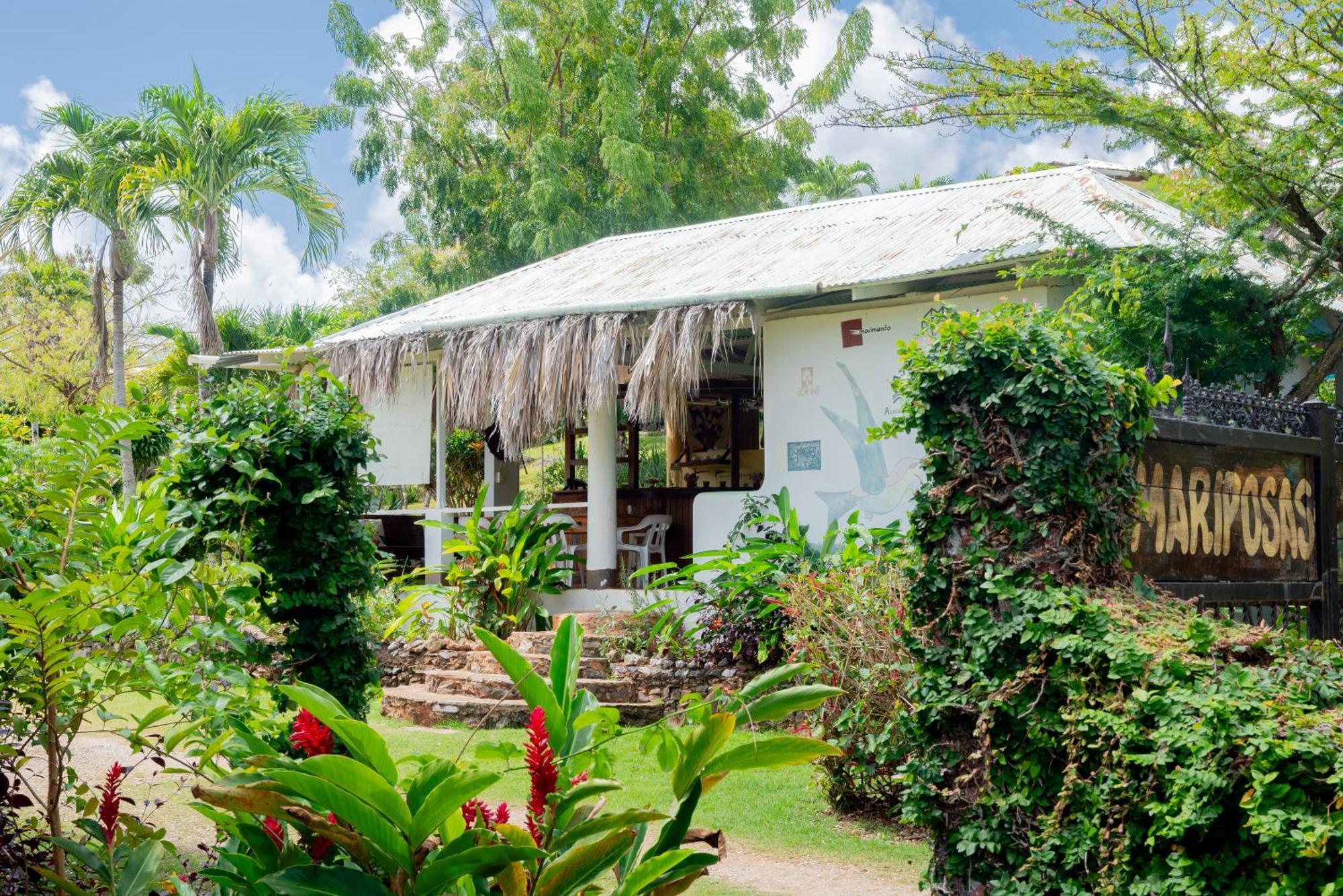 Las Mariposas Las Galeras Ngoại thất bức ảnh