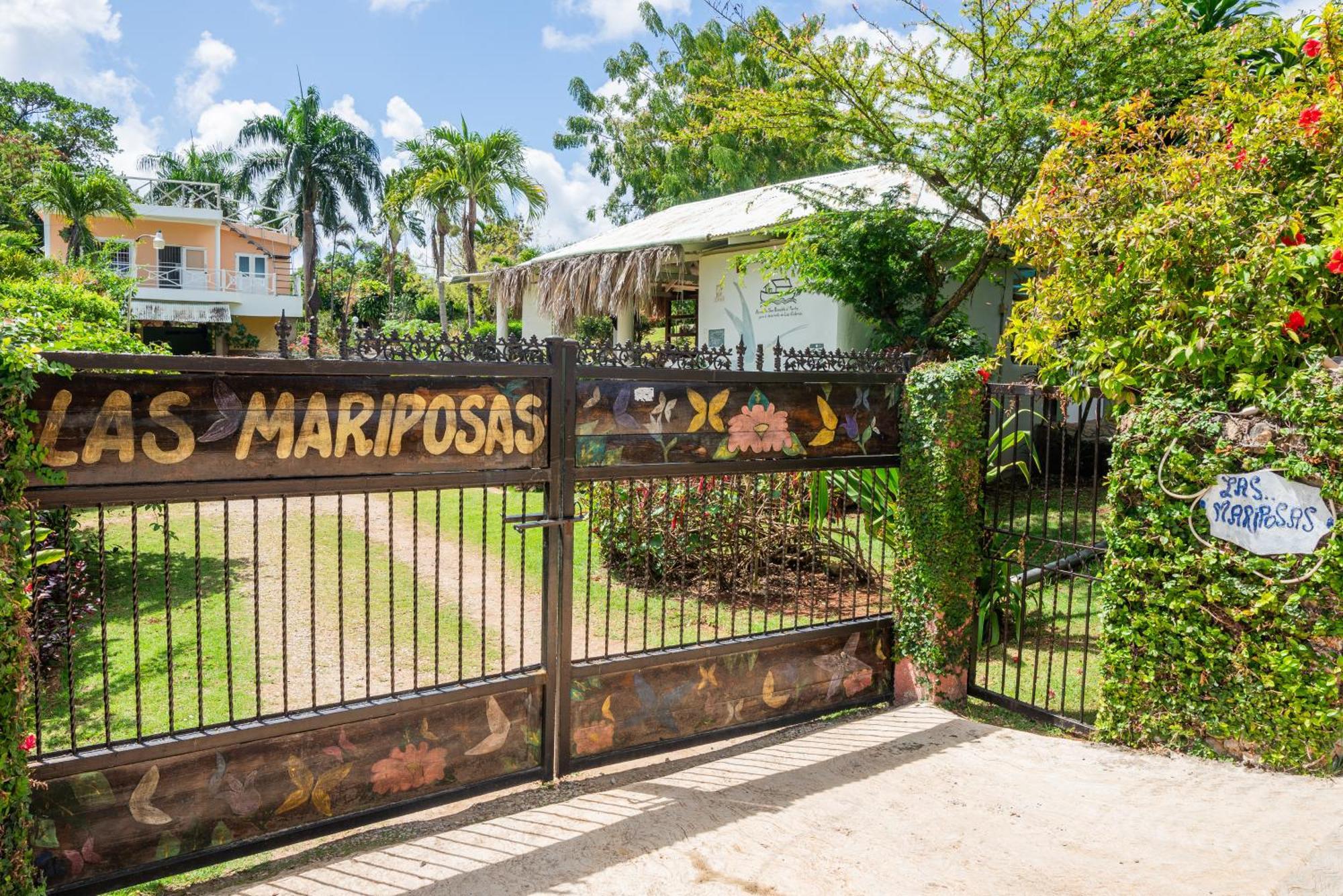 Las Mariposas Las Galeras Ngoại thất bức ảnh