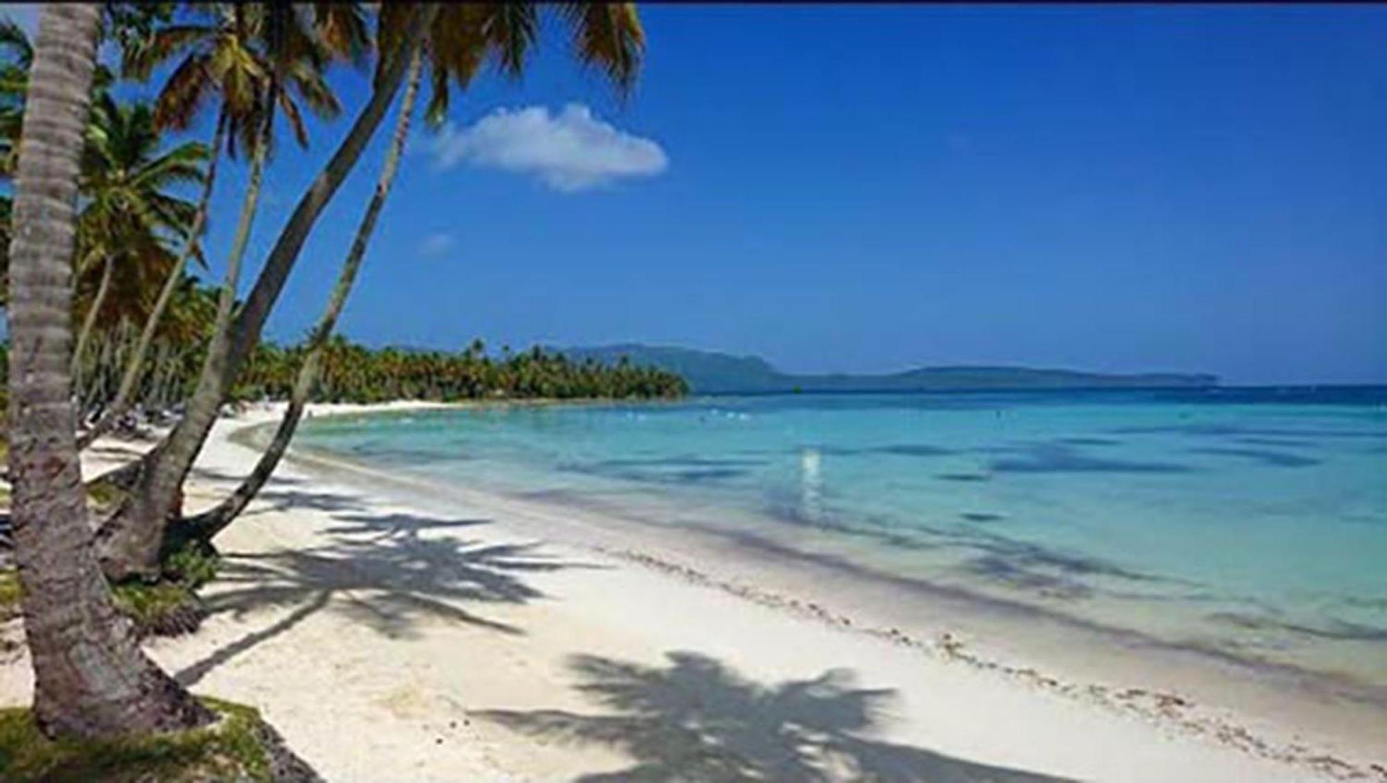 Las Mariposas Las Galeras Ngoại thất bức ảnh