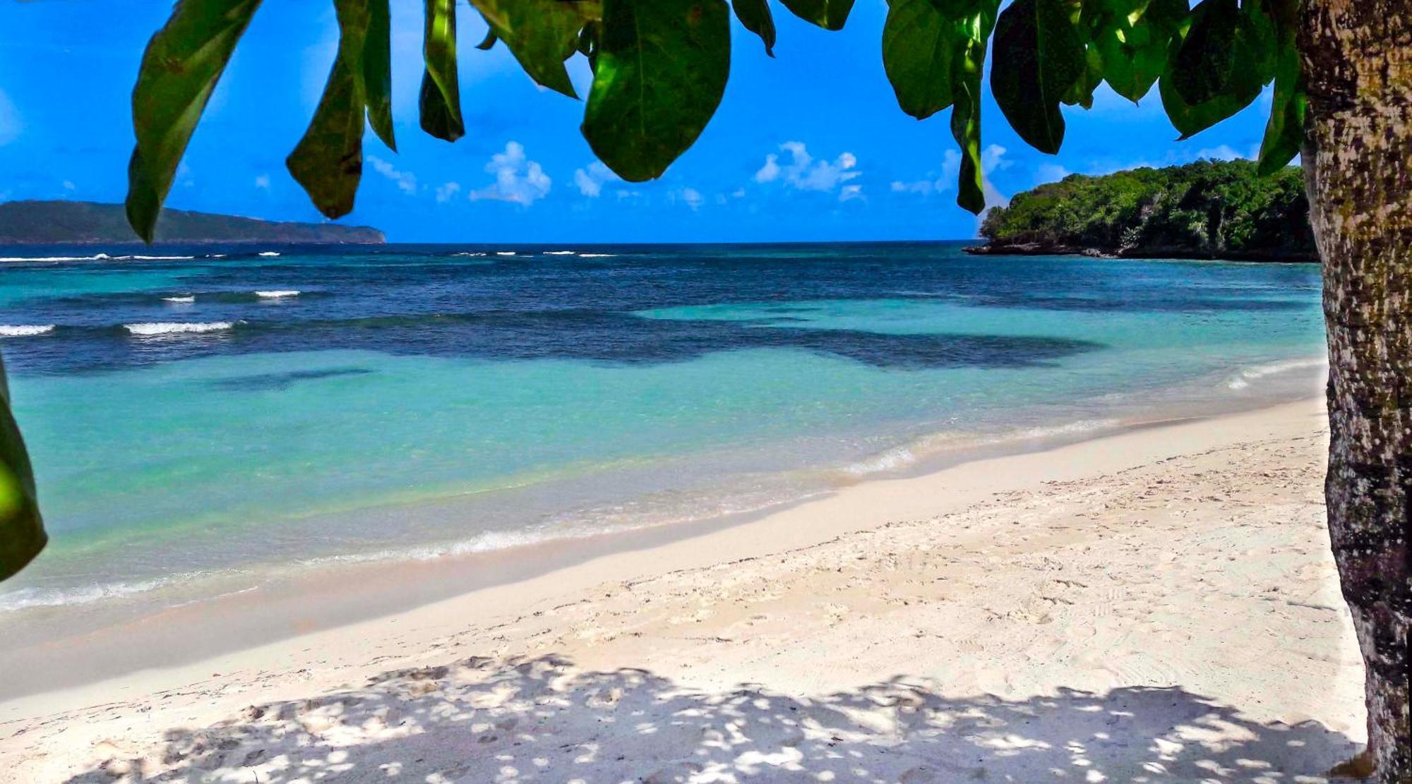 Las Mariposas Las Galeras Ngoại thất bức ảnh